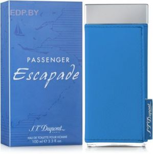 DUPONT - Passenger Escapade Pour Homme 100 ml   туалетная вода тестер