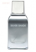 AJMAL - Silver Shade   100 ml парфюмерная вода
