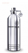 MONTALE - Vetiver Des Sables   100 ml парфюмерная вода
