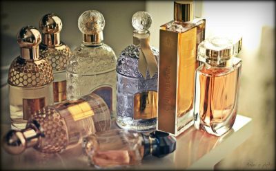 10 самых интересных вопросов о парфюмерии ответы на которые Вы не знали