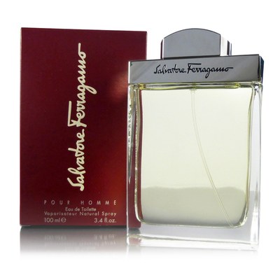 Salvatore Ferragamo Pour Homme, 100 мл, туалетная вода