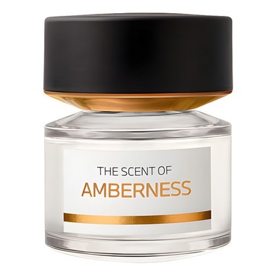 Bmw Amberness, 100 мл, парфюмерная вода
